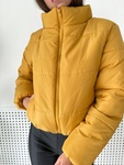 Куртка жіноча та підліткова MSH-145 гірчична, Гірчичний, 42